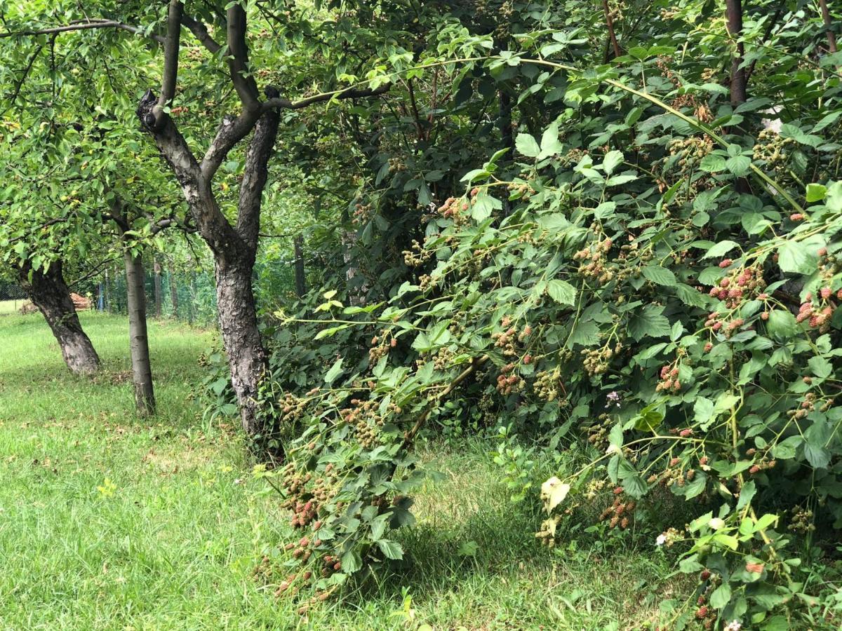 Tepke Guesthouse Garáb Zewnętrze zdjęcie